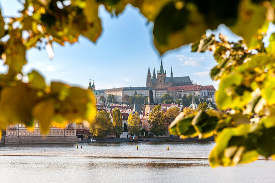 Prague Castle and Vltava river framed by autumn leaves