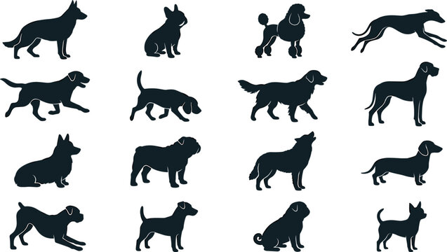 Dog Breed Silhouette Set Featuring Various Purebred Canines in Different Poses for Pet Industry Graphics, Veterinary Logos, and Animal Breeding Website Designs