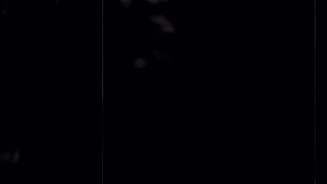 Noise, dirt, grain, dust and scratches on old damage film surface. Tv signal with bad interference, static noise background. Old film look on black background. 4K animation alpha channel