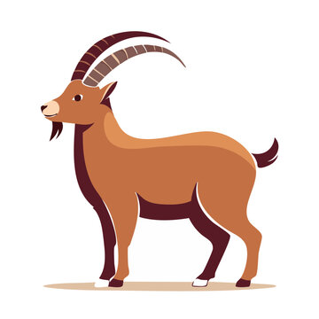 Flat vector illustration of an ibex with large horns