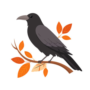 Black Crow Perched on Branch with Autumn Leaves