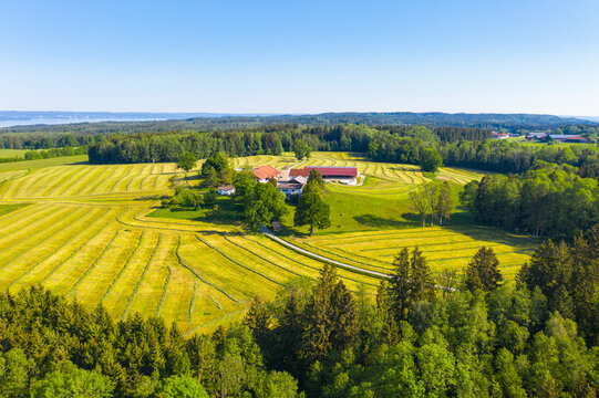 Germany, Bavaria, Oed, Drone view of small countryside hamlet surrounded by oilseed rape fields in spring