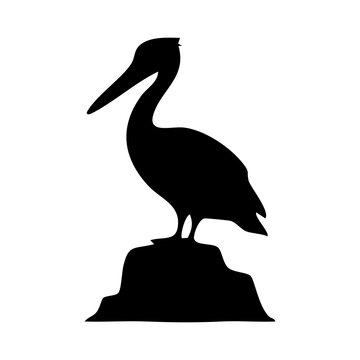 pelican silhouette vector