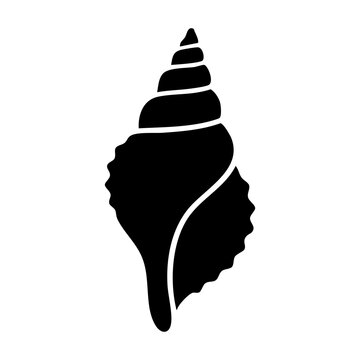 Seashell vector silhouette
