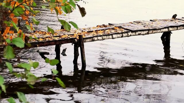 Rustic wooden pier extends over still lake water. Adorned with orange and yellow leaves. Raindrops create ripples. Blurred green and yellow foliage frames autumn scene.