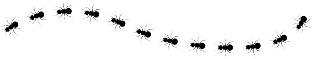 Ant walk icon with insect trail, crawling ants path bug movement line and tiny animal silhouettes, black flat vector illustration elements isolated on white background for nature design © Asia