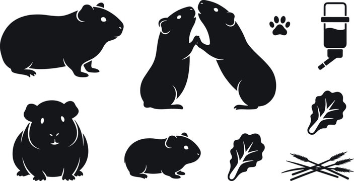 Guinea Pig Silhouette Vector Set with Pet Care Accessories Lettuce and Hay Elements for Veterinary Clinic Pet Shop and Rodent Lover Graphic Designs
