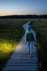 Fototapeta premium Woman forager walks through peat bog at wooden path at dusk, lighting her way with headlamp on head, returning from autumn wetland with basket full of mushrooms back view. Foraging wild food. 