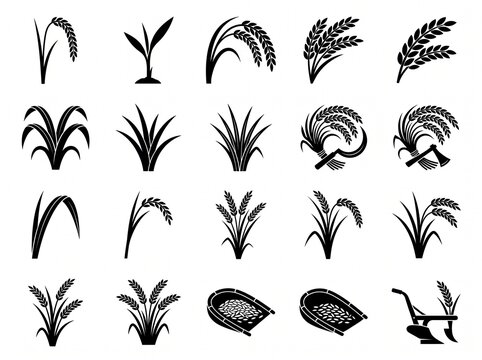 Rice farming and cultivation vector icon illustration set