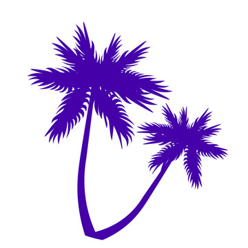 illustration of a palm tree silhouettes, isolated