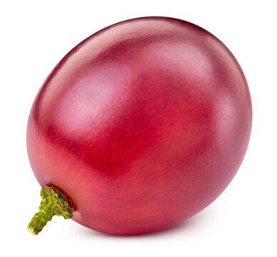 One red grape isolated on white background. Ripe single berry with clipping path