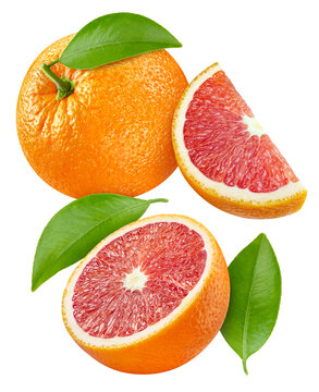 Falling Sicilian red oranges and leaves. Flying orange isolated white background