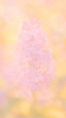 Fototapeta premium Soft pastel floral elegance mobile wallpaper