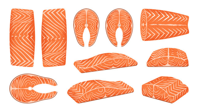 Set of salmon fillet cuts and steak pieces in orange vector style