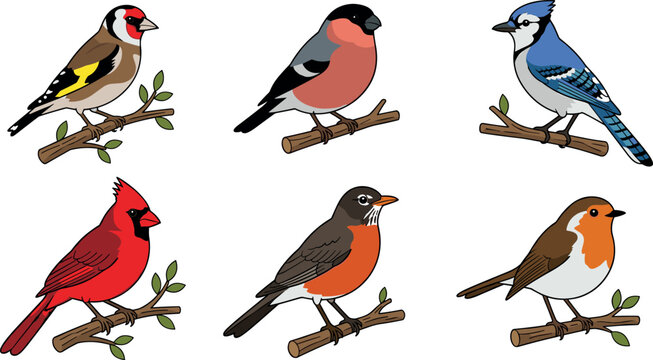 Songbird Vector Illustration Set Featuring Colorful Wild Birds Like Cardinal, Blue Jay, Robin, Bullfinch, and Goldfinch Perched on Tree Branches for Nature Designs
