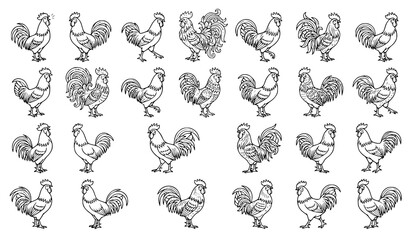 Rooster and Cockerel Line Art Vector Icon Set Featuring Diverse Chicken Poses and Intricate Feather Details for Farm Logos and Organic Branding © Md