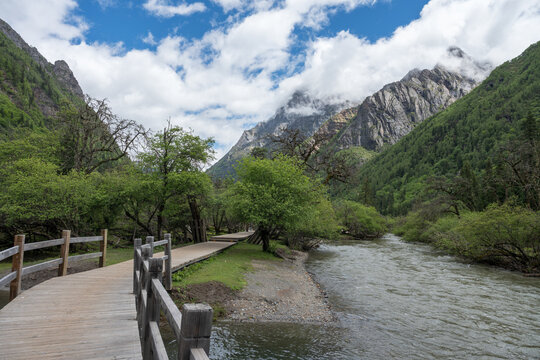 River Scenery in the Valley
