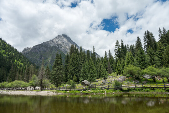 Natural Scenery in the Valley