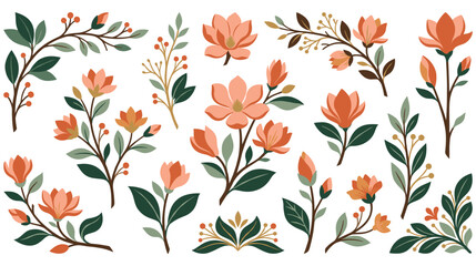 Collection of decorative magnolia flower branches and leaves. © Ojufa