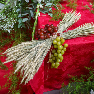 Uvas y trigo