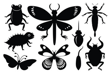Fototapeta premium Black silhouettes of various insects and other creatures for nature educational design projects
