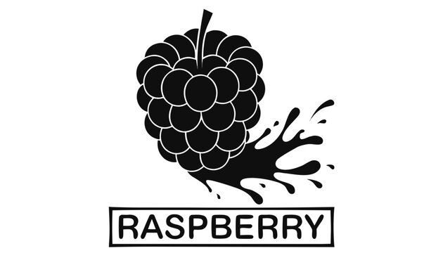 Very beautiful black and white vector of a RASPBERRY with a bold label reading "RASPBERRY", featuring detailed berry texture, realistic drupelets, energetic juice splash, and fresh natural styling, is