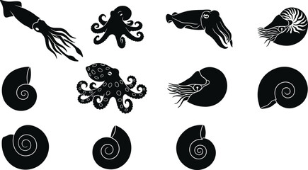 Marine biology cephalopods and prehistoric ammonite fossils icons set with black ocean silhouettes isolated on white background © MstFiroza