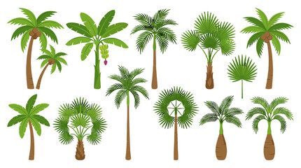 Obraz premium Collection of tropical palm and banana tree vector illustrations