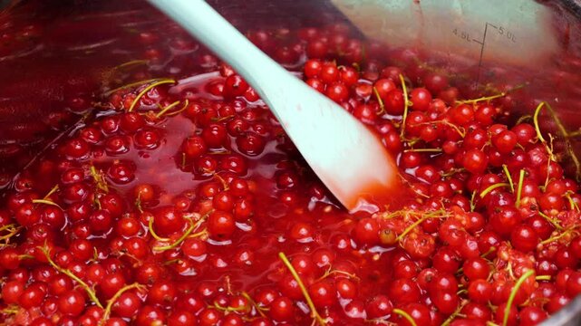 Red currant berries heat up slowly in a pot to release juices for homemade jam. Fresh fruits are stirred with a spatula. Vibrant mixture warms up well before reaching the boiling point.