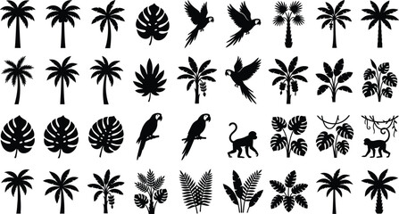 Black silhouette of tropical plants, parrots, monkeys, and palm trees © GT Designs