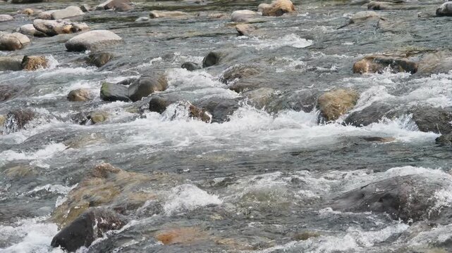 Brembo river closeup in San Giovanni Bianco, Brembana valley, Italy