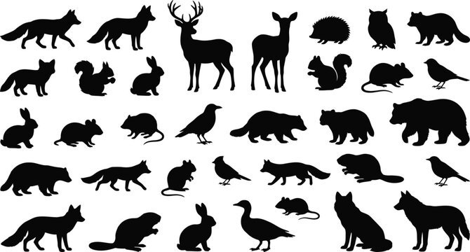Collection of black animal silhouettes including deer, fox, bear, rabbit, owl, and birds white background