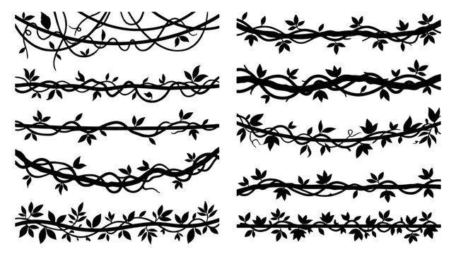 Set of black floral vine border dividers on white background
