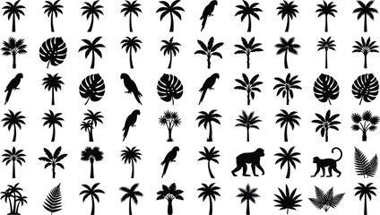 Collection of black silhouettes of tropical plants, parrots, and a monkey palm tree monstera leaf © GT Designs