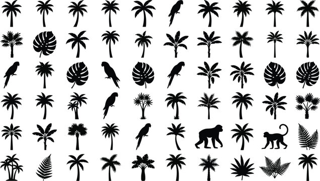 Collection of black silhouettes of tropical plants, parrots, and a monkey palm tree monstera leaf