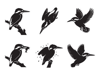 Obraz premium action set of six black kingfisher bird silhouettes diving, catching fish, and flying on a white background