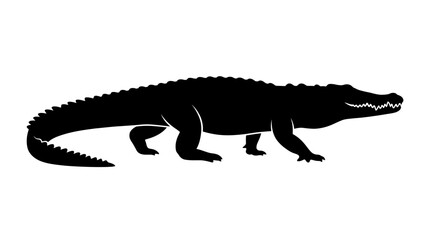 Fototapeta premium Black alligator, crocodile silhouette, reptile icon, wildlife symbol isolated on White Background Silhouette