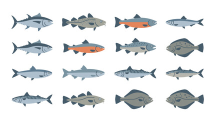 Fototapeta premium Collection of different fish species in flat vector style