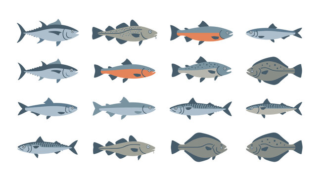 Collection of different fish species in flat vector style