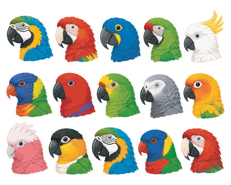 Set of colorful parrot head icons Vector, illustration