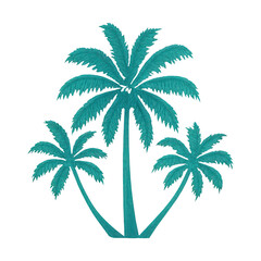 Fototapeta premium PNG Tropical palm tree illustration
