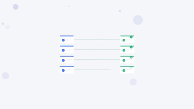 Animated data matching and validation process with rejected and approved records