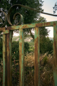 Blick durch ein unscharfes, rostiges gr&uuml;nes Metalltor auf eine malerische mediterrane Landschaft mit Olivenb&auml;umen und Bergen auf Korfu.