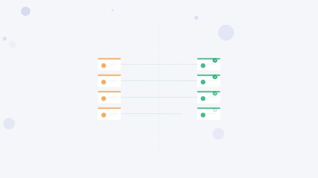 Animated data matching and validation process with rejected and approved records