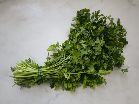 Still life fresh bunch of parsley on a marble countertop