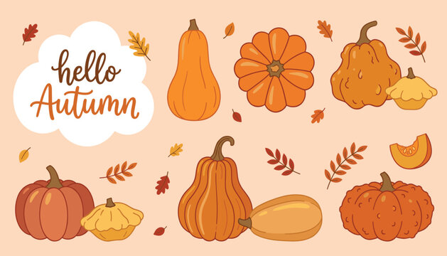 Autumn pumpkins transparent pumpkin vector set, hello autumn greeting lettering, thanksgiving orange squash collection, fall leaves and vegetable elements.