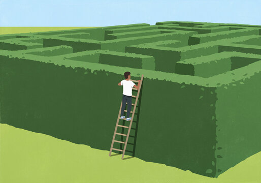 Man standing on ladder peering over green labyrinth hedges