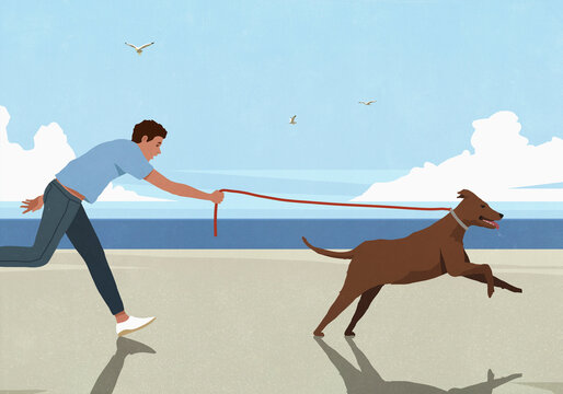 Energetic dog on leash running and pulling man on sunny ocean beach