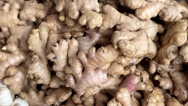 Close-up of a large pile of fresh raw ginger roots at a market
