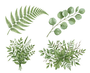 Set of green fern and eucalyptus botanical branches, hand painted watercolor foliage collection, ideal for stationery and natural branding © Rahmat